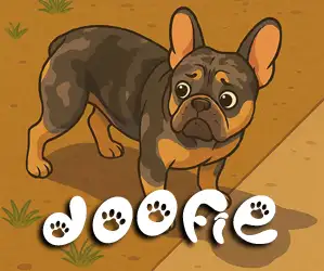 Doofie - 3 year old French Bulldog