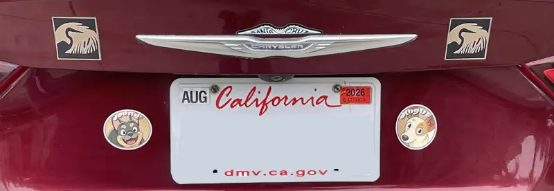 Dogfirmations with Doofie and Dingus