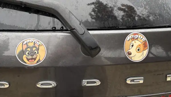 Dogfirmations with Doofie and Dingus