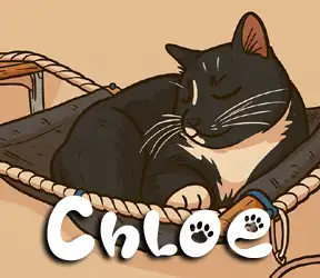 Chloe - Tuxedo Cat