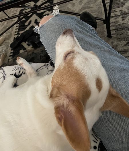 Real: Snuggles