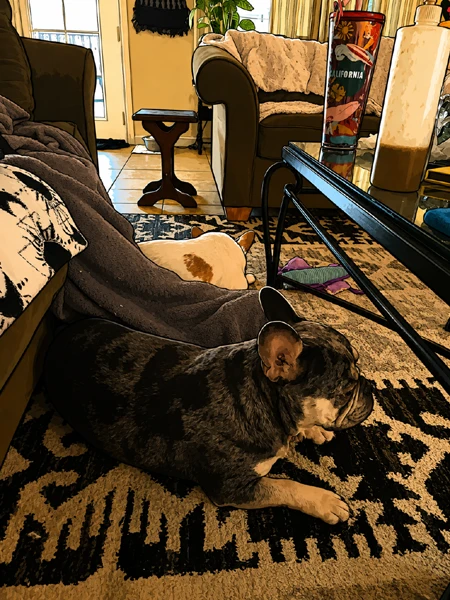 Downtime