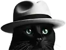Gercy the Cat
