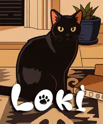 LOKI - 4 year old Russian Blue