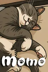 Momo - 2 year old Tuxedo