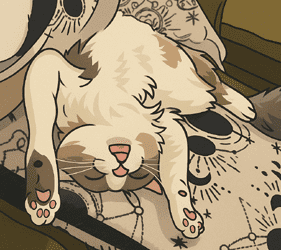 Percy - 4 year old Whatever